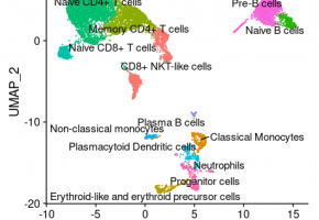 Single-Cell RNA-Sequencing